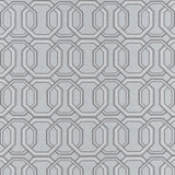 Clarke & Clarke REPEAT CHARCOAL Fabric