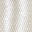 Clarke & Clarke REPLAY IVORY Fabric