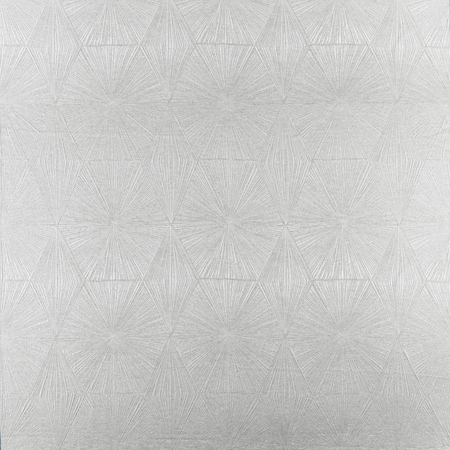 Clarke & Clarke BLAIZE PEWTER Fabric