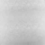 Clarke & Clarke BLAIZE PEWTER Fabric