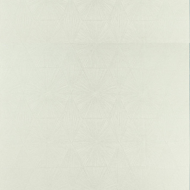Clarke & Clarke BLAIZE SILVER Fabric