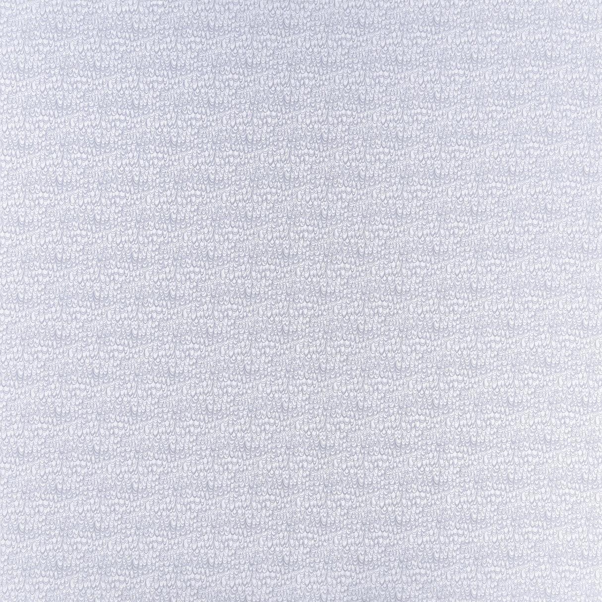 Clarke & Clarke EREBIA SILVER Fabric