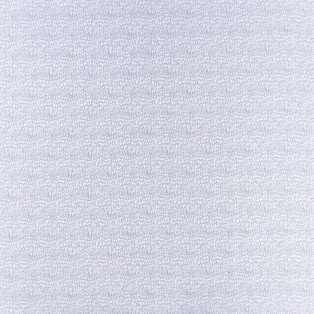 Clarke & Clarke EREBIA SILVER Fabric