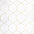 Clarke & Clarke FORMA CHAMPAGNE Drapery Fabric