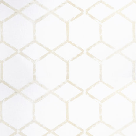 Clarke & Clarke FORMA CHAMPAGNE Drapery Fabric