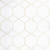 Clarke & Clarke FORMA CHAMPAGNE Drapery Fabric