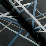 Lee Jofa SIMPATICO PRINT RAVEN Fabric