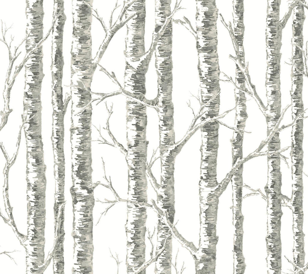 York Paper Birch White/Gray Wallpaper