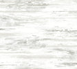 York Birch Bark Texture Cream/Pearl Wallpaper
