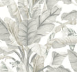 York Banana Leaf White/Cream Wallpaper