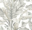 York Banana Leaf White/Cream Wallpaper