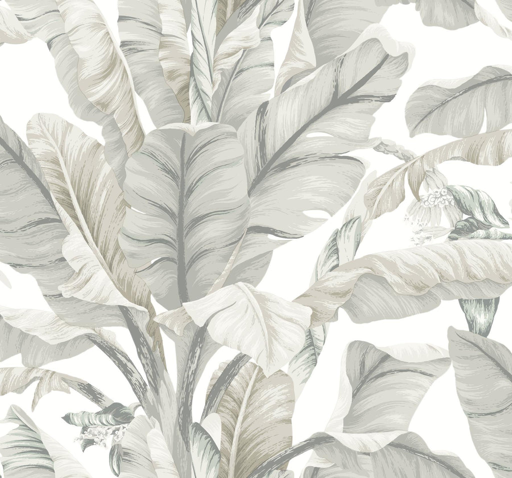 York Banana Leaf White/Cream Wallpaper