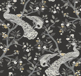 York Plume Black/Gold Wallpaper
