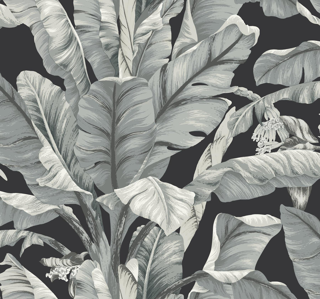 York Banana Leaf Black/White Wallpaper