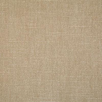 Pindler KENNEDY CHAMPAGNE Fabric