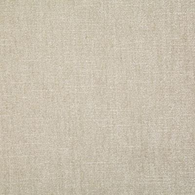 Pindler KENNEDY PUMICE Fabric