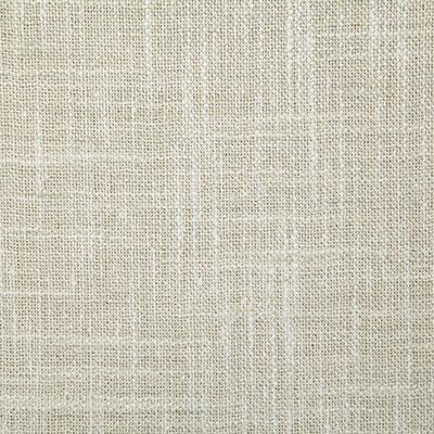 Pindler KATHMANDU FOAM Fabric