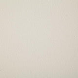 Pindler SULLIVAN IVORY Fabric