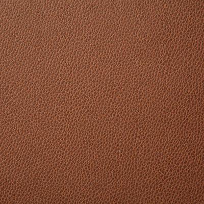 Pindler SANDERS AUTUMN Fabric