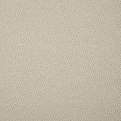 Pindler SANDERS CHALK Fabric