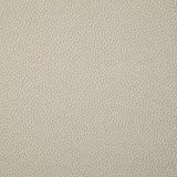 Pindler SANDERS CHALK Fabric