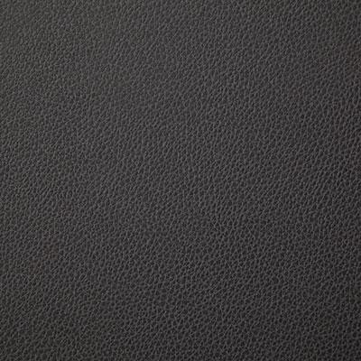 Pindler SANDERS CHARCOAL Fabric