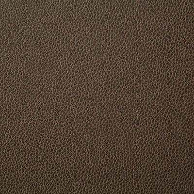 Pindler SANDERS LATTE Fabric