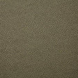 Pindler SANDERS LEAF Fabric