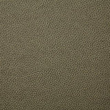 Pindler SANDERS LEAF Fabric