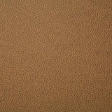 Pindler SANDERS SADDLE Fabric