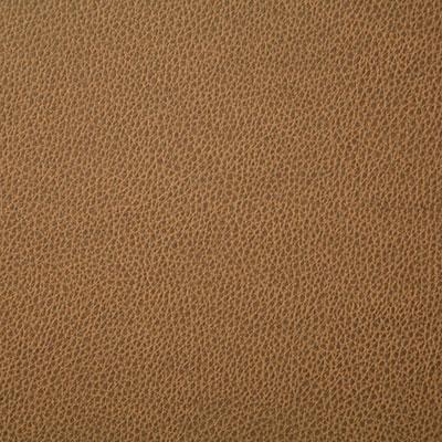 Pindler SANDERS SADDLE Fabric