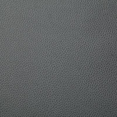 Pindler SANDERS SHALE Fabric