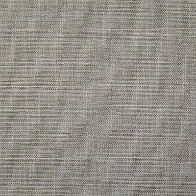 Pindler WARD CEMENT Fabric