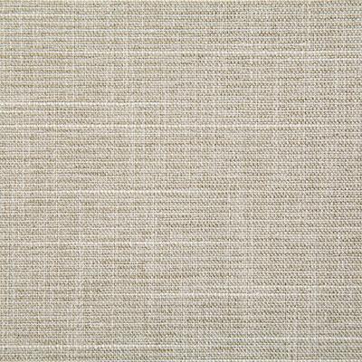 Pindler WARD DOVE Fabric