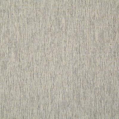 Pindler BECK ASH Fabric