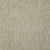Pindler BECK BIRCH Fabric
