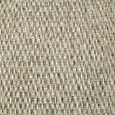 Pindler BECK BIRCH Fabric