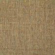 Pindler BECK COIN Fabric