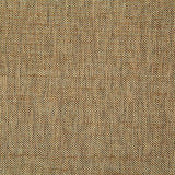 Pindler BECK COIN Fabric
