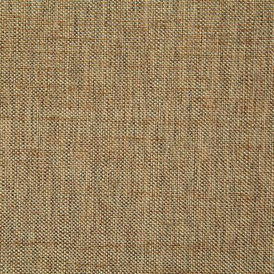 Pindler BECK COIN Fabric