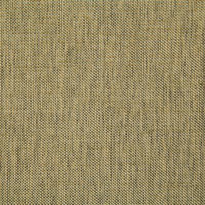Pindler BECK GILDED Fabric