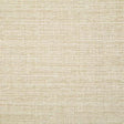 Pindler ABBOTT BISQUE Fabric