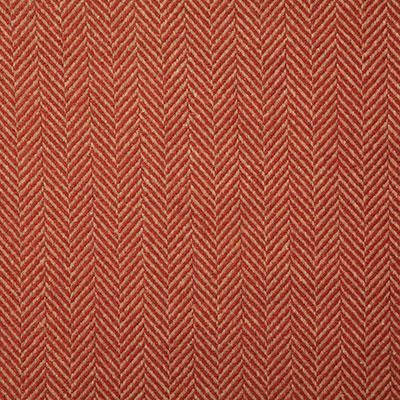 Pindler ELLIS SPICE Fabric