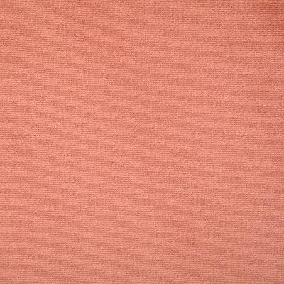 Pindler EMERSON BLOSSOM Fabric