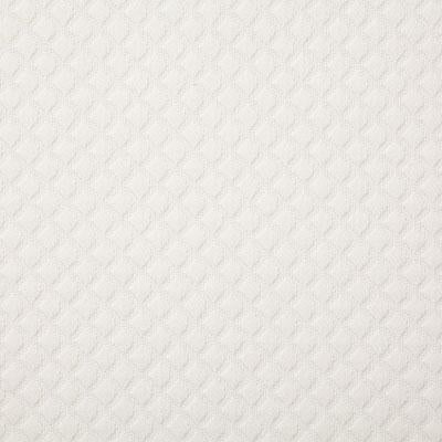 Pindler BREVARD ALABASTER Fabric