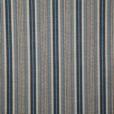 Pindler FRANCIS DENIM Fabric