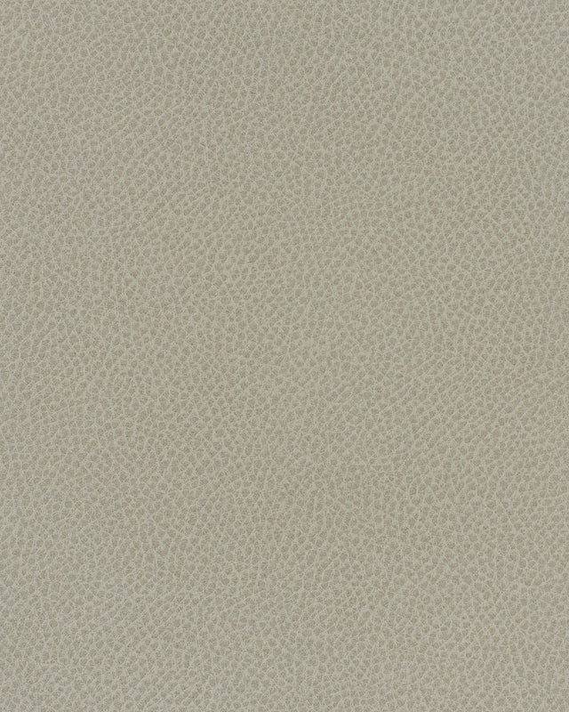 Maxwell SCENE #737 CRATER Fabric