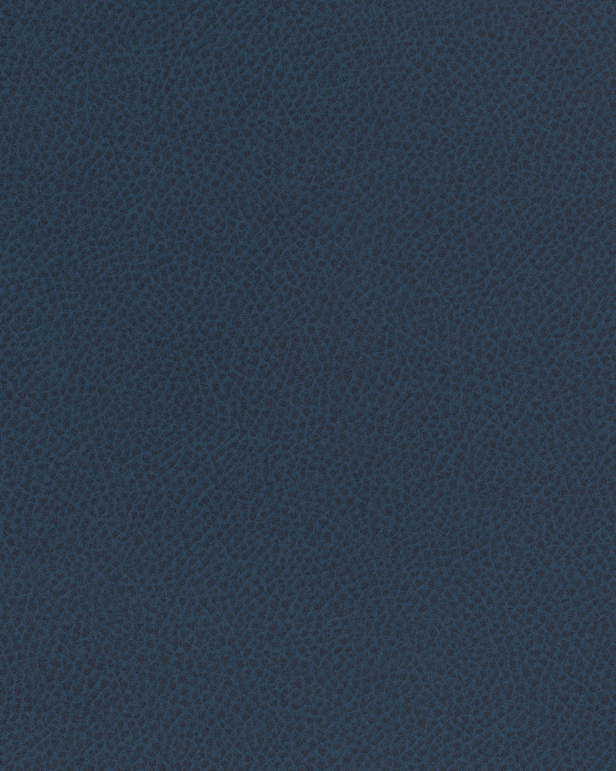 Maxwell SCENE #761 ADMIRAL Fabric