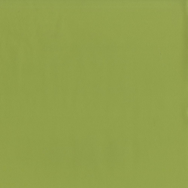 Maxwell JACKSON #615 ALOE Fabric