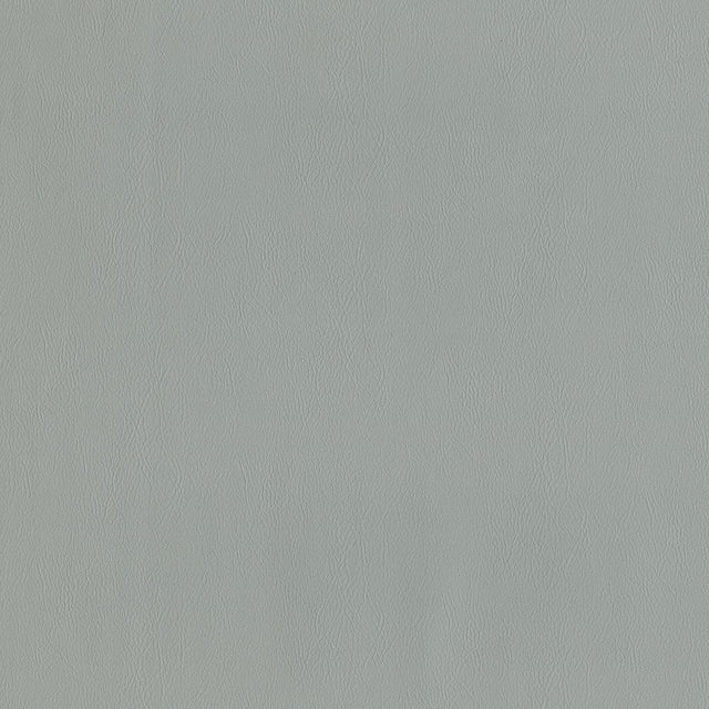 Maxwell JACKSON #635 CEMENT Fabric